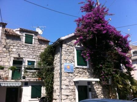 Dalmatian Villas Сплит Номер фото